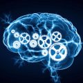 What are the different types of ai learning?